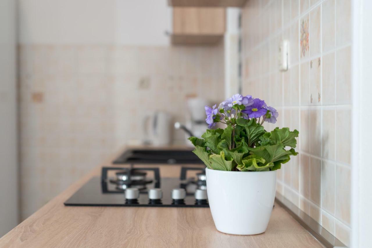 Luxury Apartment With Garden Jacuzzi And Wellness Trogir Zewnętrze zdjęcie